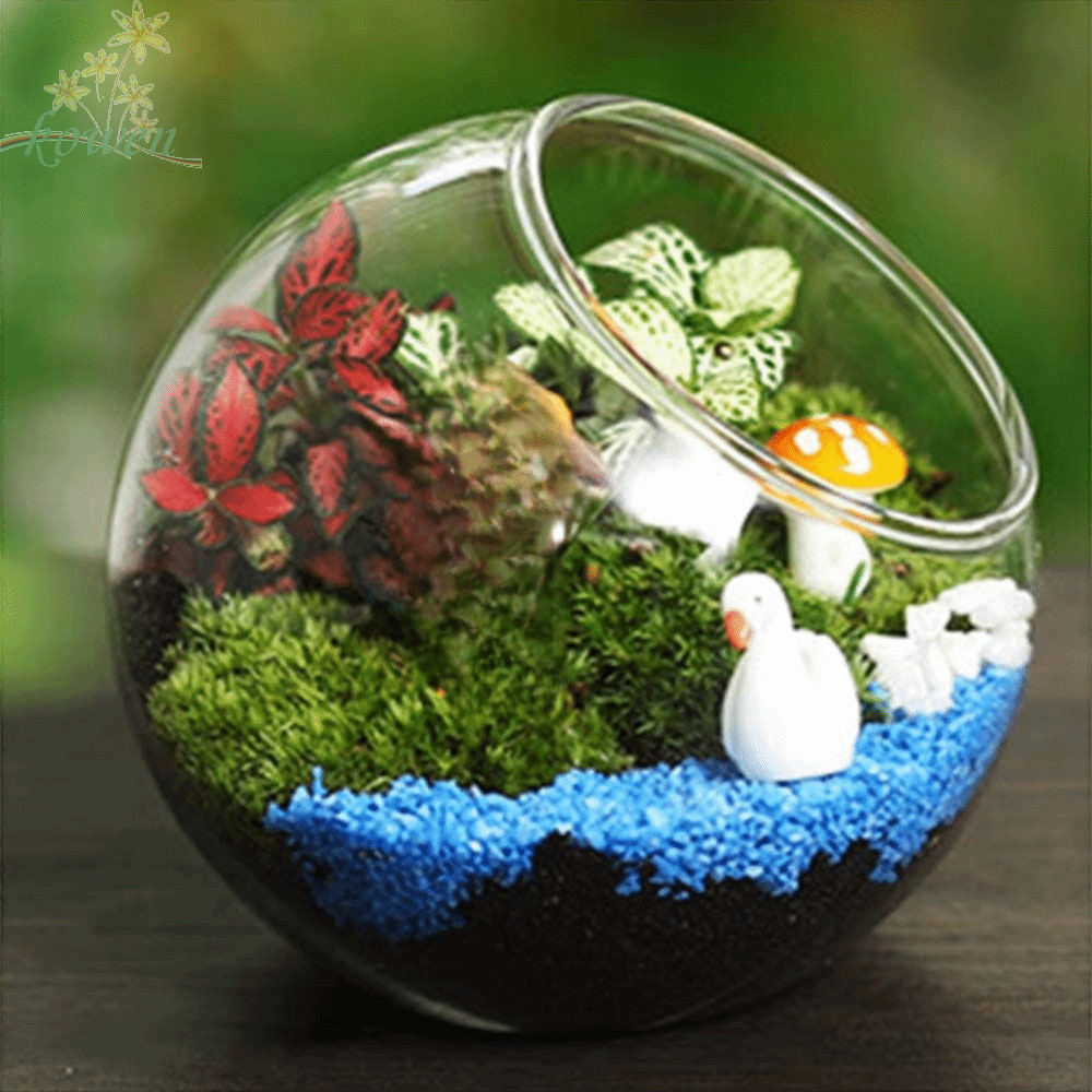 ราคาลดลงใหม่: KOWEN