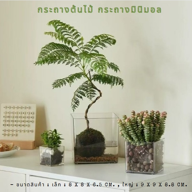 ลดลง 22.2% กระถางมินิมอลใส