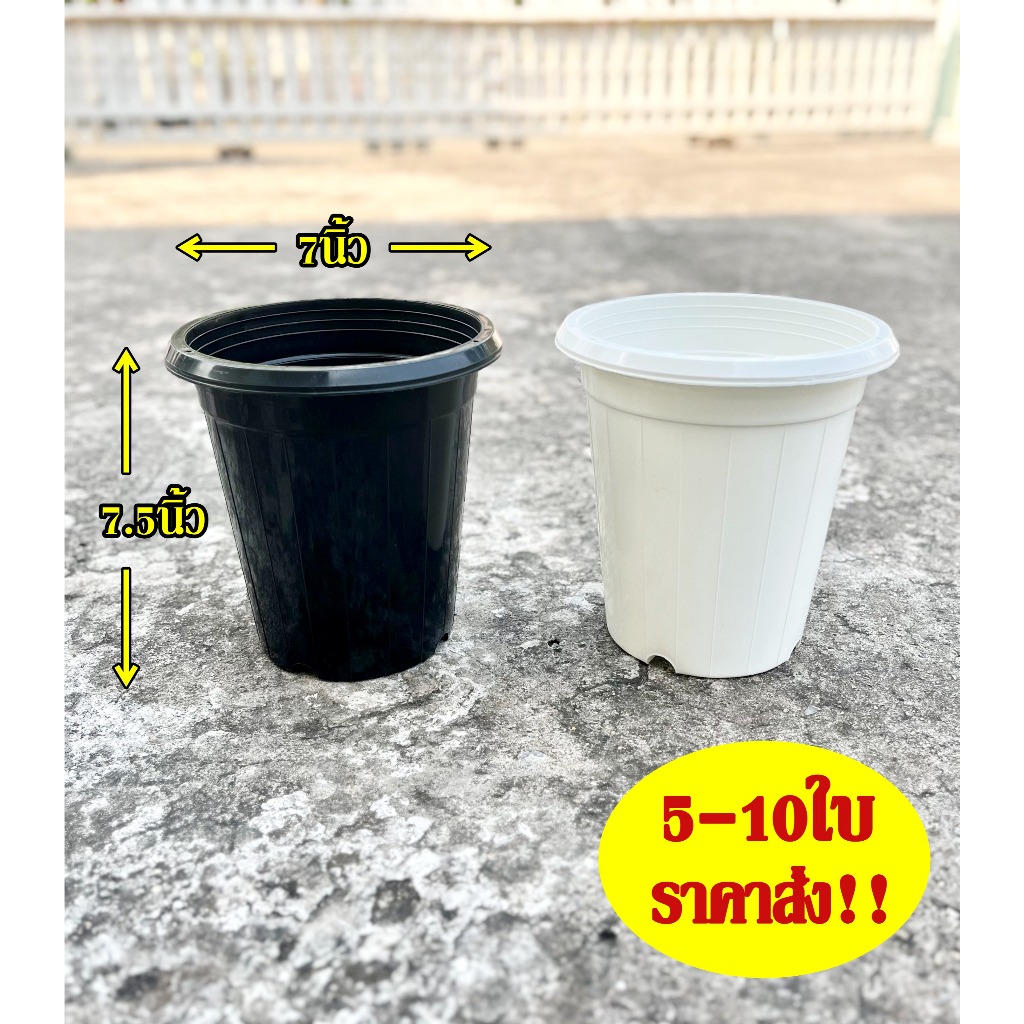 ราคาลดลงใหม่: กระถางต้นไม้ กระถางกลม