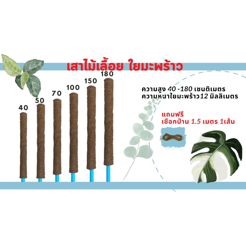 ลด 26%: เสาไม้เลื้อย เสาใยมะพร้าว เสาหลักปักต้นไม้ ความหนา 12 (ท่อ4หุน)