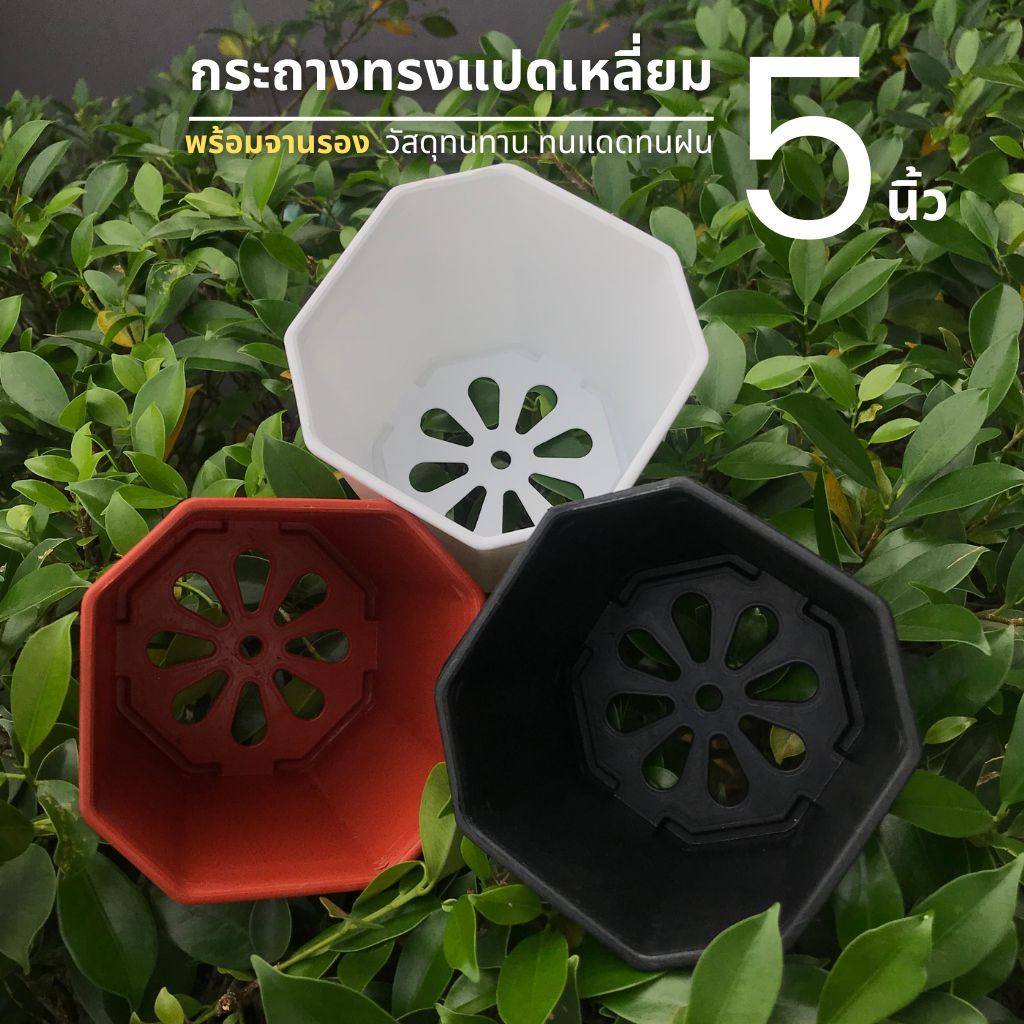 ลด 23%: A015 กระถางต้นไม้ + จานรอง ขนาด