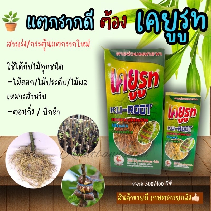 ราคาลดลงใหม่: เคยูรูท500cc