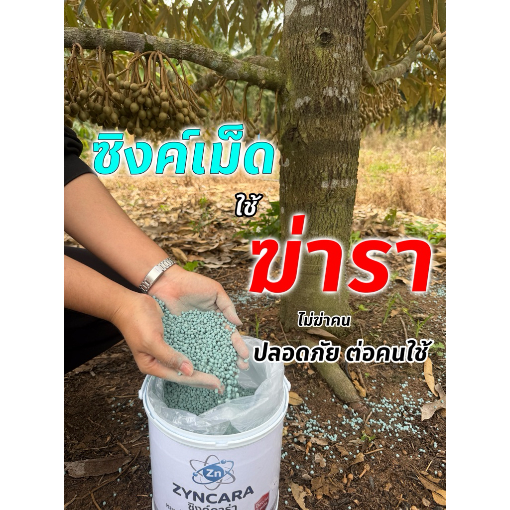 ลด 49.1% ซิงค์ คาร่า คุมโรคทันใจ