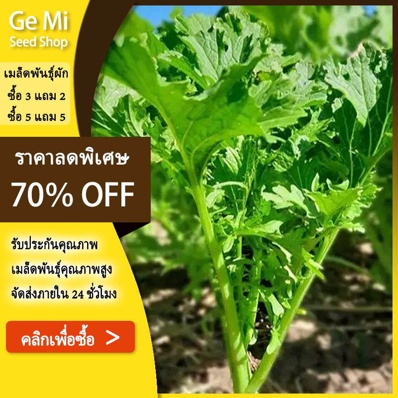 ราคาลดลงใหม่: GEMI เมล็ดพันธุ์