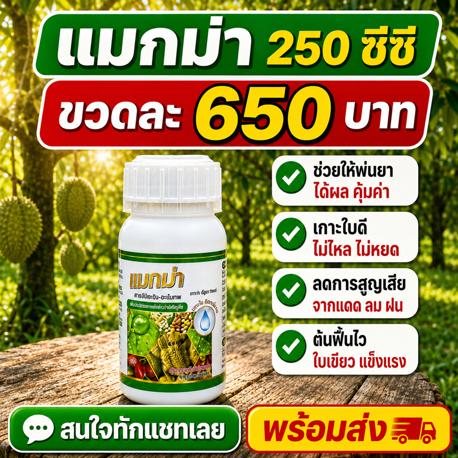 ราคาลดลงใหม่: สารจับใบ แมกม่า