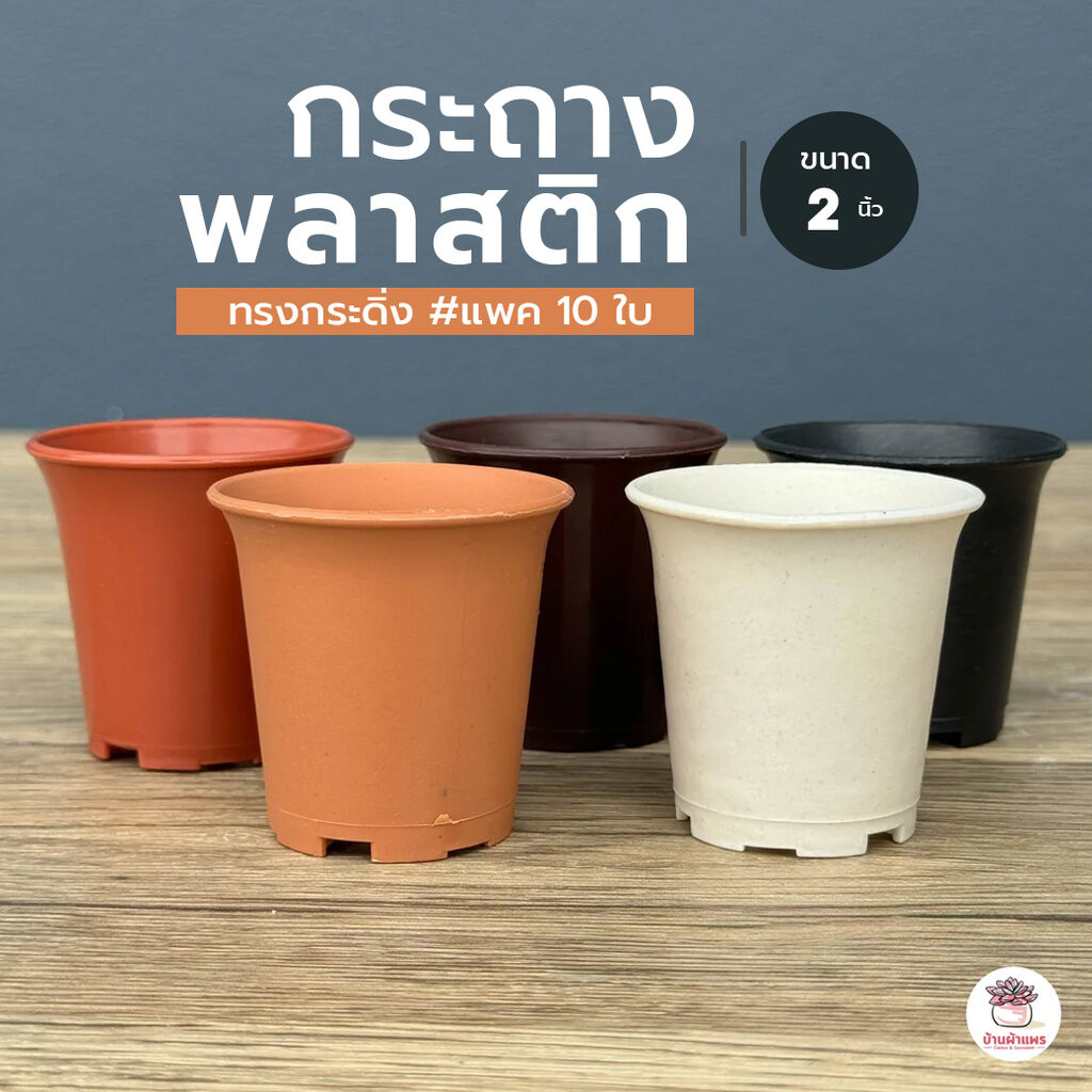 ลด 18.2% [10 ใบ] กระถาง 2 นิ้ว [กระดิ่ง]