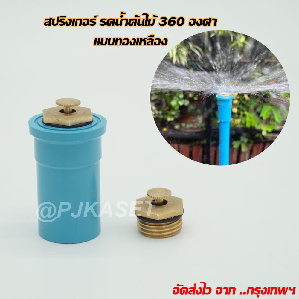 ลดลง 12% สปริงเกอร์ใบบัวหัวทองเหลือง