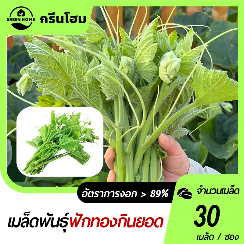 ลด 19%: เมล็ดฟักทองเก็บยอด 30 เมล็ด