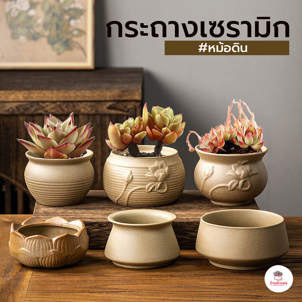 ลด 24%: กระถางเซรามิกหม้อดิน แคคตัส