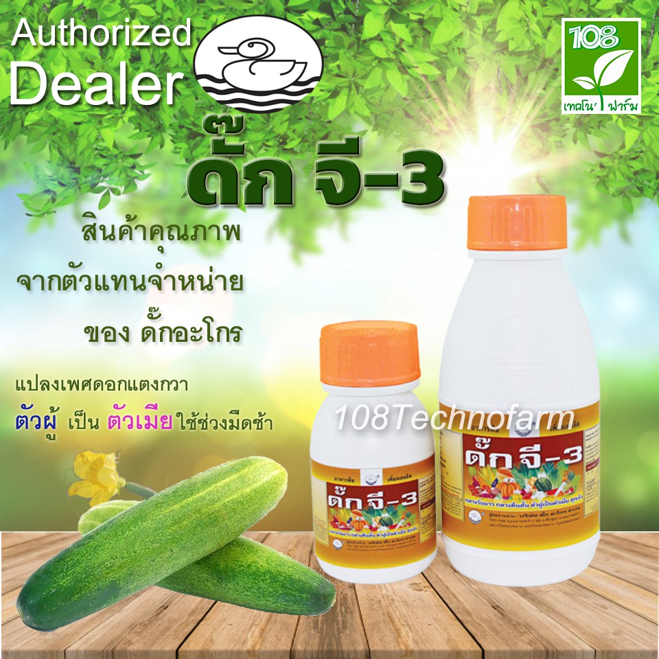 ลดลง 41.9% แปลงเพศดอก ดั๊กจี-3