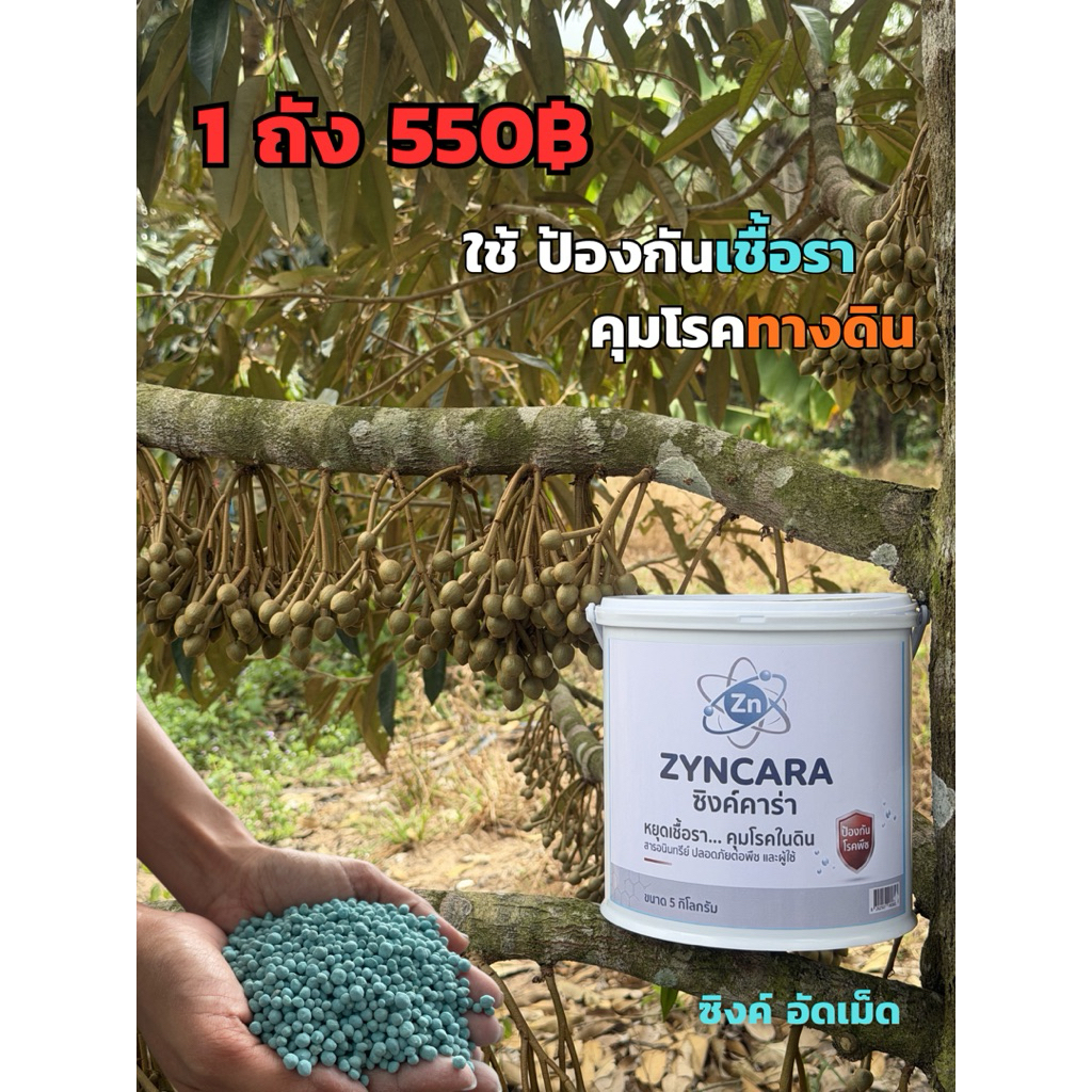 ลด 30% ซิงค์ คาร่า 1 ถัง 5 กก.