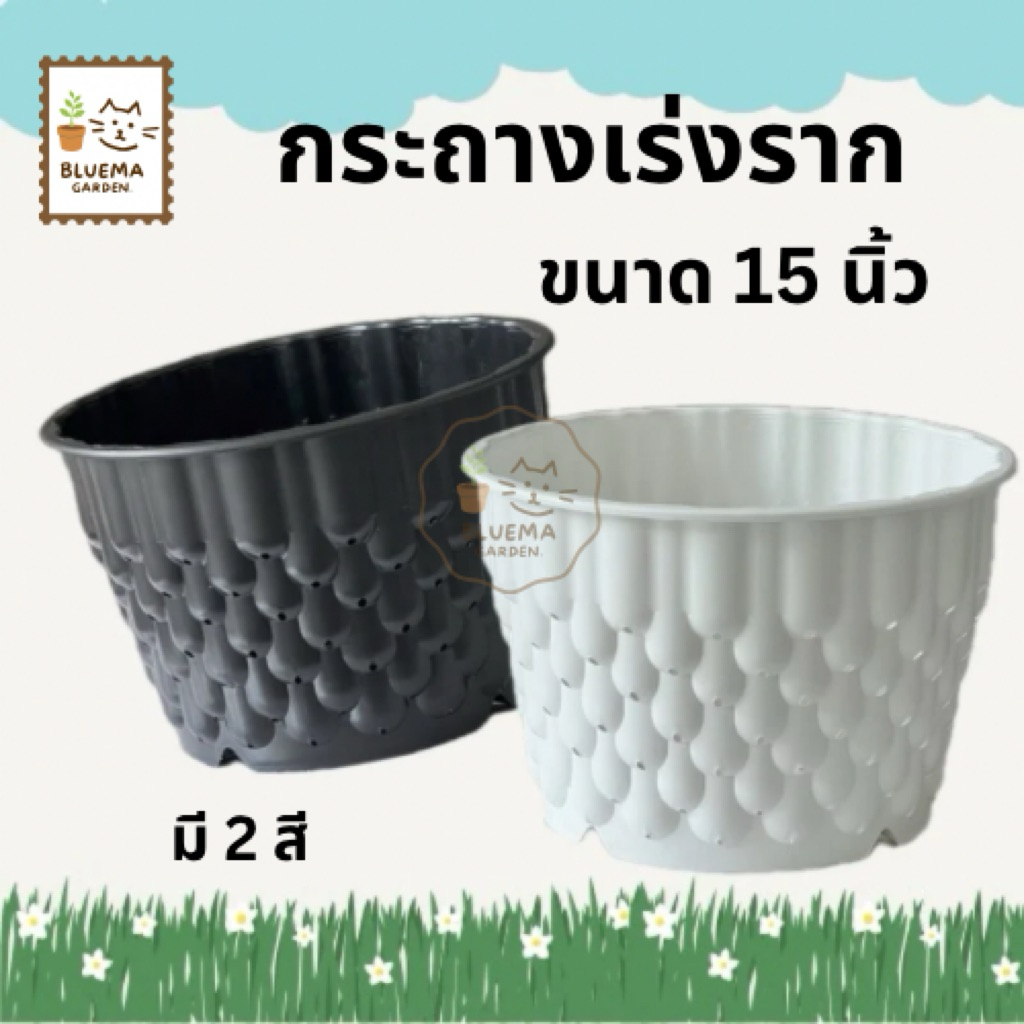 ลด 21.1%: กระถาง แอร์พอต 15 นิ้ว