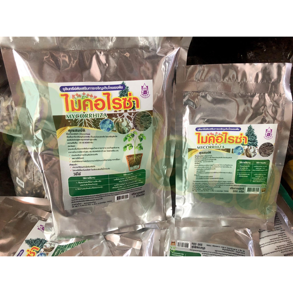 ลด 63%: ไมคอร์ไรซ่า MYCORRHIZA