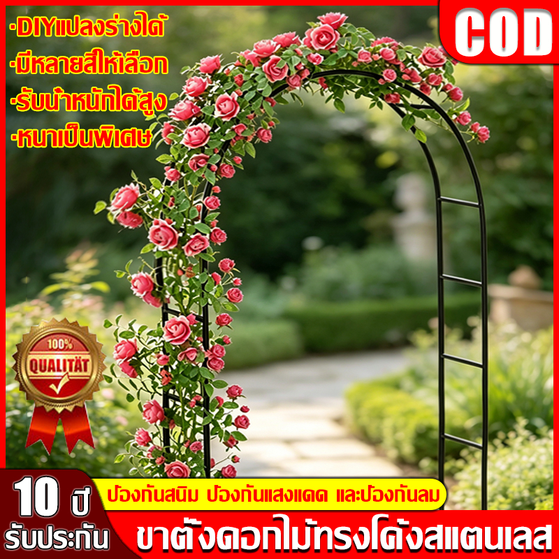 ลด 26%: มั่นคงและไม่โยกเยก ซุ้มกุหลาบ
