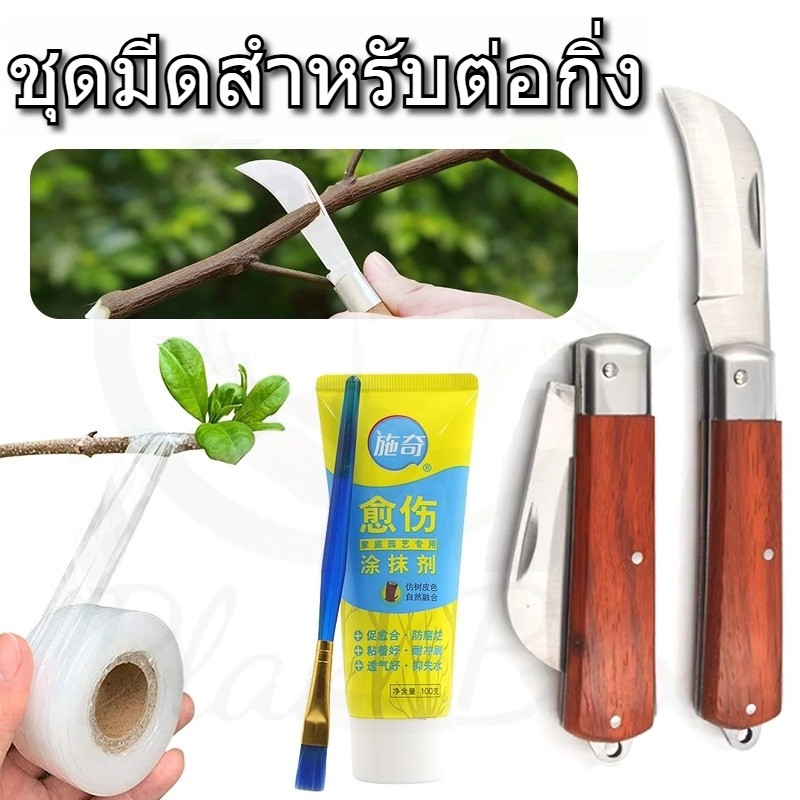 ลด 23%: มีดตอนกิ่ง ชุดมีดต่อกิ่ง 4-in-1 สําหรับงานเกษตร ทํากิ่งพันธุ์ (ส่งจากไทย)