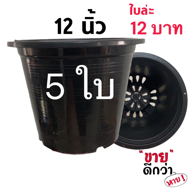 ลด 47% กระถางต้นไม้ 12 นิ้ว 5 ใบ