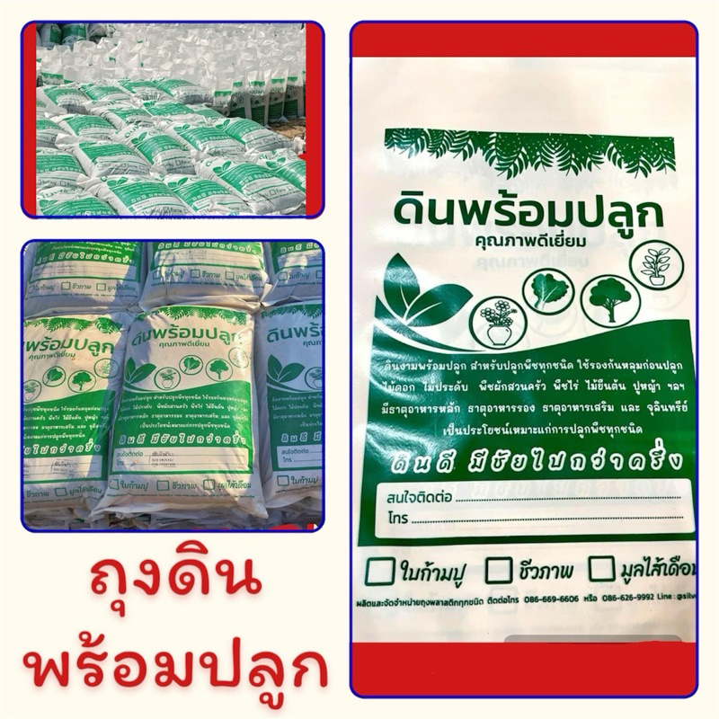 ลด 37%: ถุงดินสําเร็จ พิมพ์สีเขียว ขนาด 12x20 นิ้ว (ถุงเปล่า)