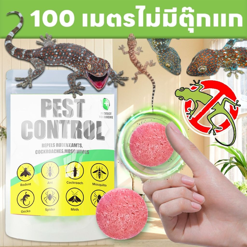 ลดลง 25%: 100 เมตรไม่มีตุ๊กแก
