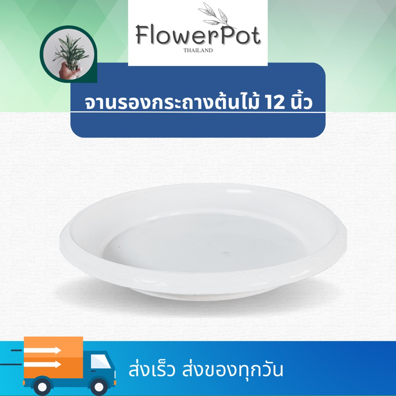 ลด 64%: (5 ใบ) จานรองกระถาง 12 นิ้ว