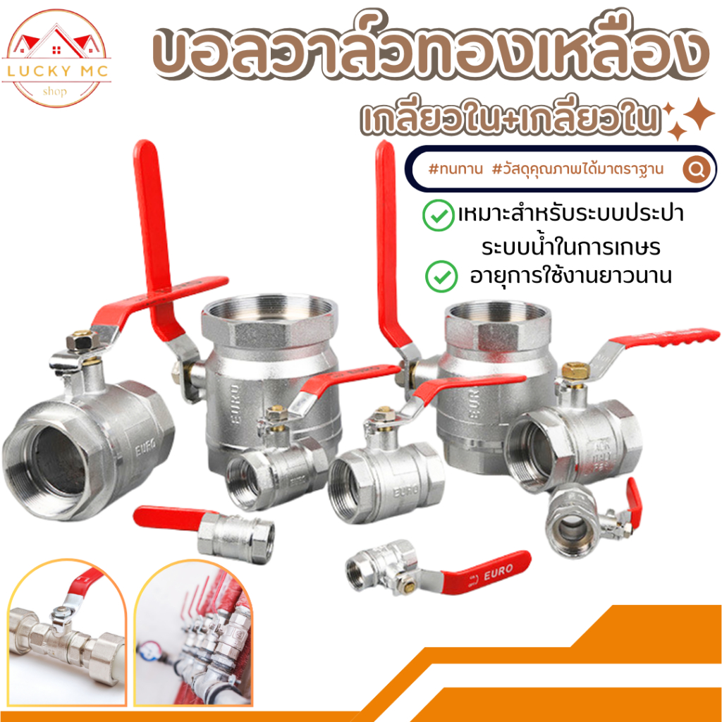 ลดลง 22.6%: บอลวาล์วเกลียวใน หลายขนาด