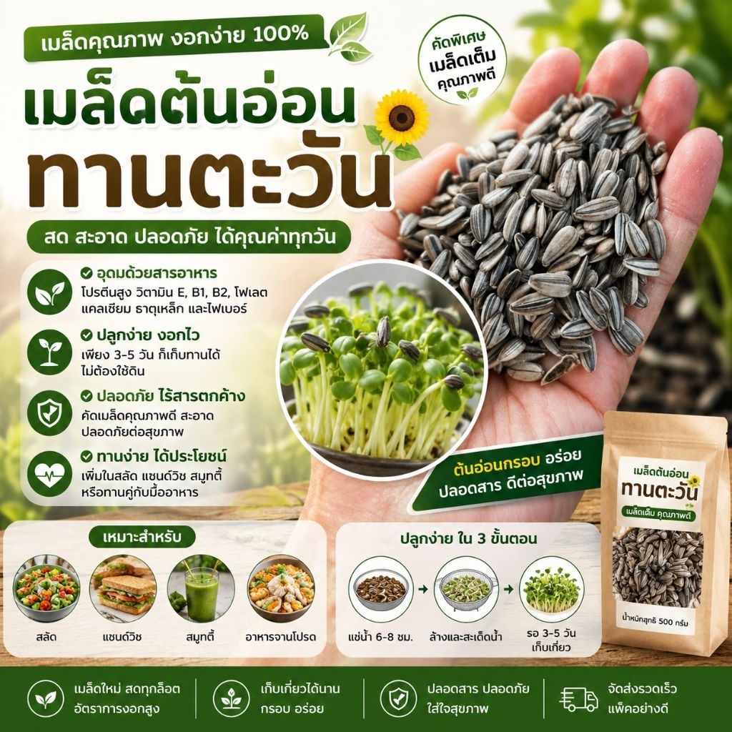 ลด 37.5% เมล็ดต้นอ่อนทานตะวันงอก