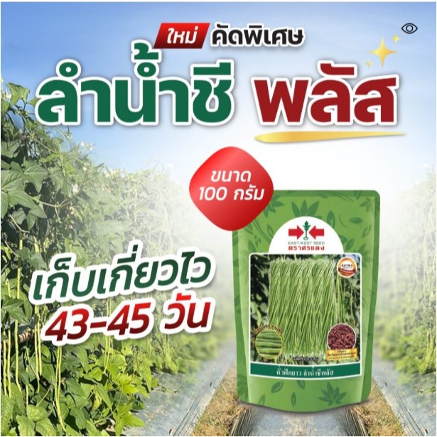 ลด 21.6% เมล็ดถั่วฝักยาว ลําน้ําชีพลัส
