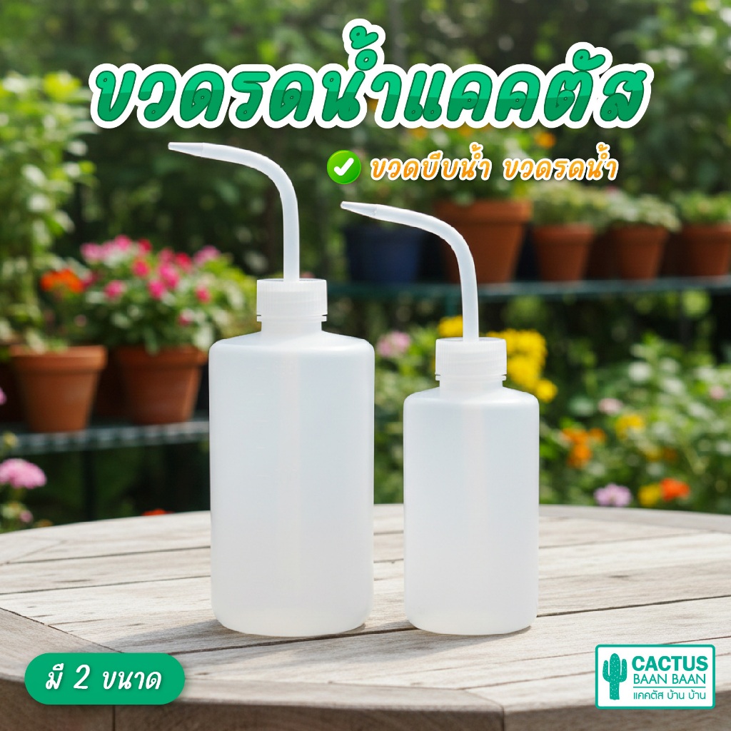 ลด 20%: ขวดรดน้ําแคคตัสพลาสติก