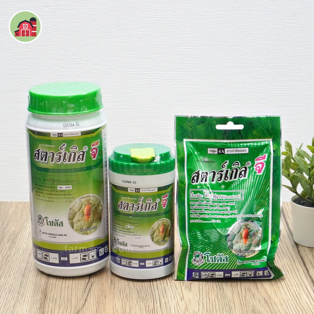 ลด 57%: สตาร์เกิลจี Stargle G