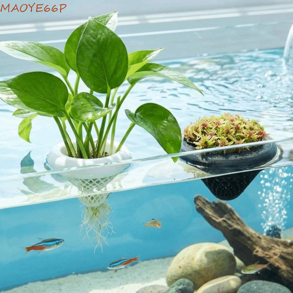ลด 23%: MAOYE66P ตะกร้าปลูกตู้ปลาลอยน้ํา