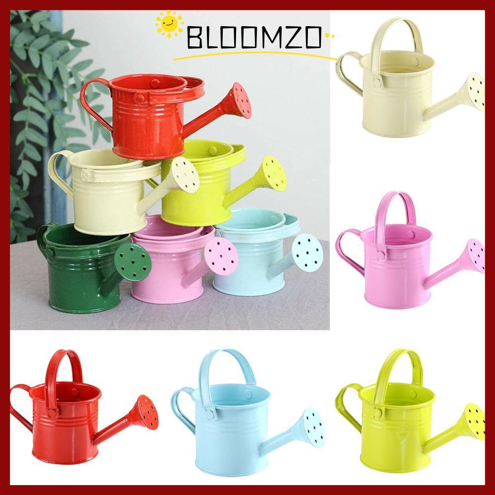 ลด 40%: จัดส่งจากประเทศไทยBLOOMZO