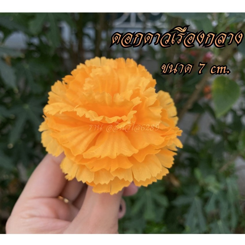 ลด 47%: ดอกดาวเรืองกลาง ขนาด7cm.ถุงละ