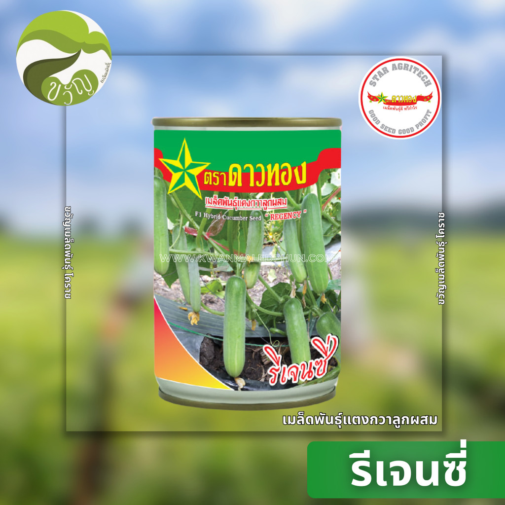 ลด 47.4% รีเจนซี่ เมล็ดพันธุ์แตงกวา