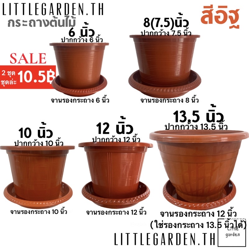 ลด 29%: Little กระถางสีอิฐ 6 นิ้ว 8 (7.5”)