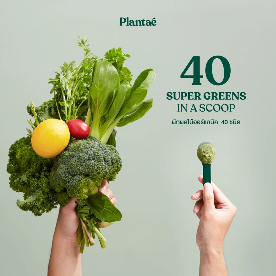 ผงผักผสม ตัวช่วยเพิ่มไฟเบอร์ให้ร่างกายง่ายขึ้นในชีวิตประจำวัน