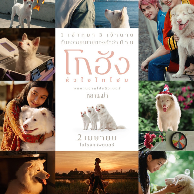 โกฮัง หัวใจไม่โกโฮม เรื่องราวของหมาตัวหนึ่งที่สอนมนุษย์ให้รู้จักคำว่าบ้าน