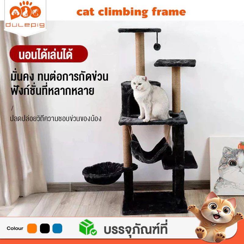 คอนโดแมว ไอเทมที่บ้านทาสแมวควรมี เปลี่ยนบ้านธรรมดาให้กลายเป็นอาณาจักรของเจ้าเหมียว