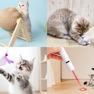 ของเล่นแมว เติมสุขให้ทาสและเหมียว