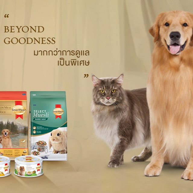 SmartHeart อาหารหมา มีกี่สูตร แต่ละสูตรต่างกันอย่างไร