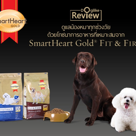 SmartHeart อาหารหมาที่ครองใจคนไทย