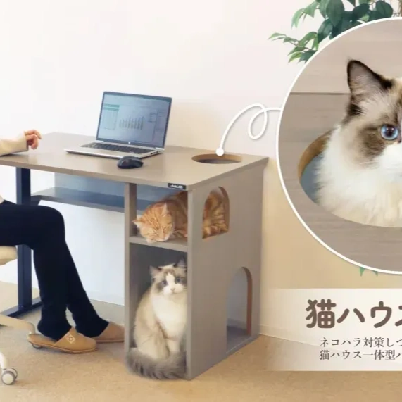 ทาสแมว WFH ต้องมี! โต๊ะทำงานรุ่นพิเศษเพื่อเจ้าเหมียวโดยเฉพาะ