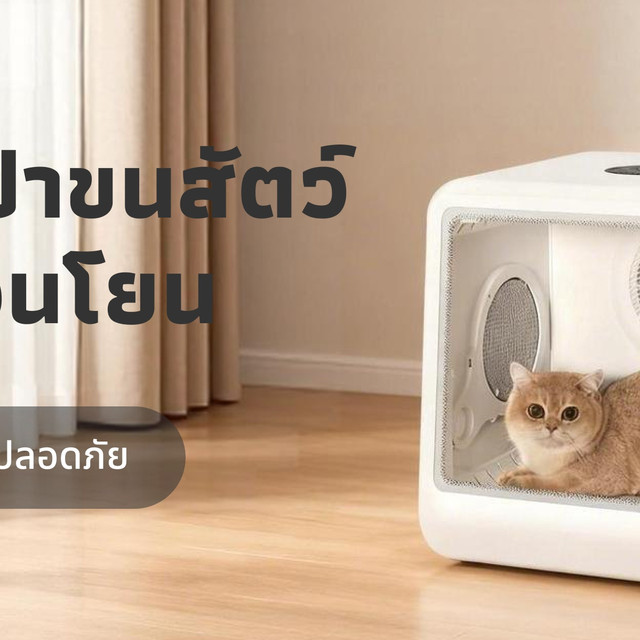 PANDO เป่าขนสัตว์ แห้งไว อ่อนโยน