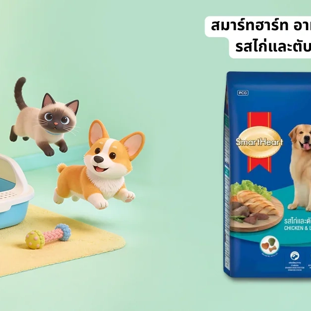 โภชนาการ SmartHeart กับสุนัขสูงวัย