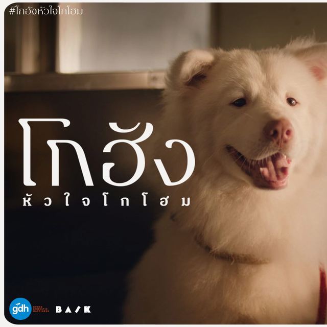 โกฮังหัวใจโกโฮม ฉายจีน 26 มิถุนายนนี้ หลังทำรายได้ 100 ล้าน