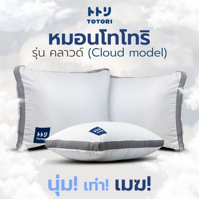 คุ้มพิเศษ 17% TOTORI หมอน รุ่น คลาวด์(Cloud model) , หมอนโทโทริ , หมอนหนุน