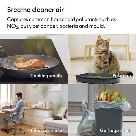 Dyson PC2และHushjetใหม่ล่าสุด🇹🇭มีผ่อน0%10ด🔥ประกันศูนย์ไทย2ปี🇹🇭มีส่งด่วนในวัน💨เครื่องฟอกอากาศแบบตั้งพื้นPurifier cool Image2