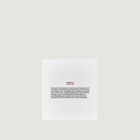 PANPURI Ambience Candle 250gm ปัญญ์ปุริ เทียนหอม เทียนน้ำมันหอมระเหย 250gm Image2