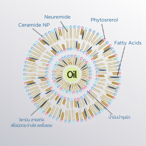 แอมพูลกู้ผิวพัง ให้กลับมาปังใน 7 วัน CURECODE NEUROMIDE AMPOULE 50 ML Image4