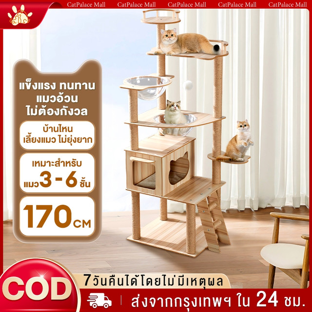 คอนโดแมว ไม้แมวคอนโดแมว บ้านแมว รวมถึงแคปซูลอวกาศโปร่งใสเหมาะสำหรับเลี้ยงน้องแมว 3-5ตัว เสาลับเล็บ ขนาดใหญ่ สูง170CM