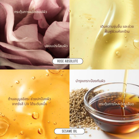 [สินค้าขายดี] Erb Wine & Roses Body Oil 230 ml. บอดี้ออยล์ทาผิว กลิ่นไวน์กุหลาบ ลดริ้วรอยแตกลาย ซึมไว Image5