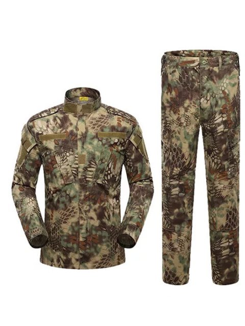 ชุดกีฬาฝึกซ้อมแบบเต็มตัวสีเขียวอินทรีย์ กางเกงขายาว คอตตอนเทลเลสแตนด์ ฤดูใบไม้ผลิ ฤดูร้อน ฤดูใบไม้ร่วง ฤดูหนาว Image3